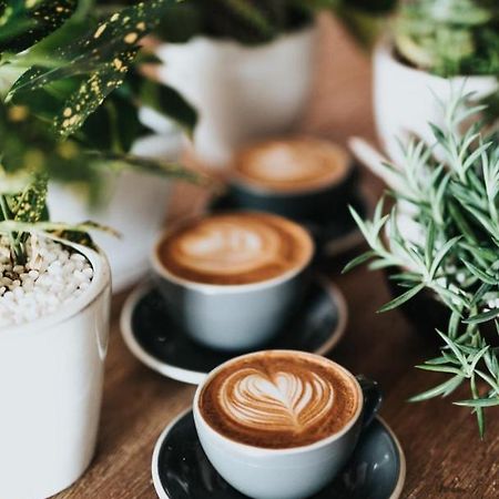Ganze Ferienwohnung 5 Km Von Erfurt, Mit Kaffeevollautomat, Tv, Wlan, Boxspringbett, Schlafsofa Und Einkaufsmoeglichkeiten, Sehr Gute Anbindung Zur A71 Und A4, Kostenloser Oeff Parkplatz Fuer Pkw Und Transporter Elxleben Luaran gambar